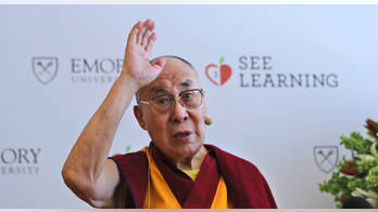 Dalai Lama hospitalized with chest infection, feeling better