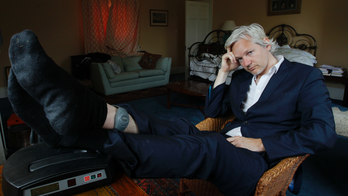 Chronicle of Julian Assange's stay in the Ecuadorian embassy
