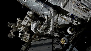 The ISS is chock-full of bacteria and fungi: study