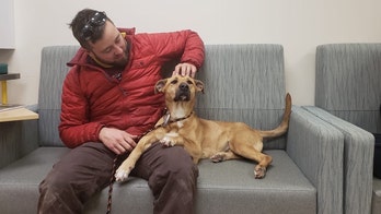 Man driving cross-country rescues lost Colorado dog, returns months later to help adopt her