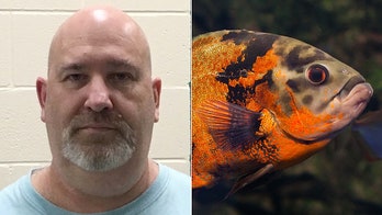 Man who abandoned pet fish facing animal cruelty charges
