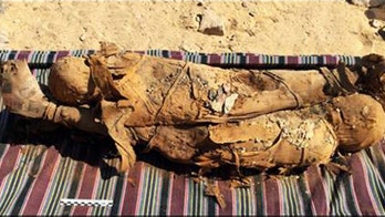 Dozens of mummies, including mother and child, discovered in Egyptian tomb
