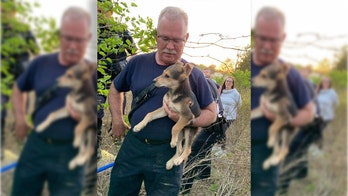 South Carolina firefighter adopts puppy he rescued from under pile of rocks