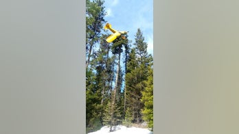 Idaho pilot rescued after small plane crash-lands on top of tree