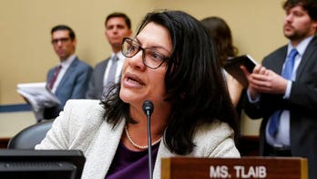 Democratic congresswoman Tlaib accuses Israel of oppressing, targeting 'Palestinian children and families'