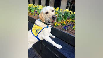 The Daily Spike: Spike finds his voice (and finally learns to bark)