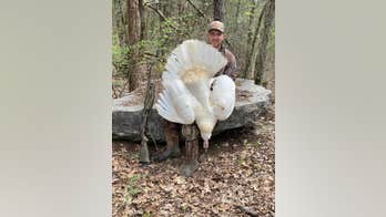 Tennessee hunter bags rare white 'turkey of a lifetime'