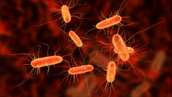 E. coli outbreak in Kentucky sickens nearly 50 people, health officials say