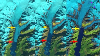 Alaska's excelsior glacier is being replaced by a lake 5 times the size of Central Park