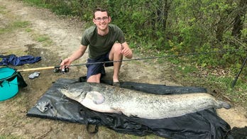 Fisherman reels in 102-pound catfish with rod 'not suited for this fish'