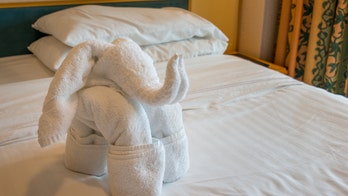 Norwegian Cruise Line to no longer provide towel animals during test of new policy