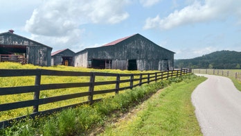 Kentucky barns are being raided, reportedly to fuel 'farmhouse chic' trend