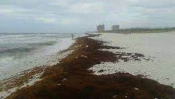 Florida fisherman dies after attempting to retrieve fishing pole: report