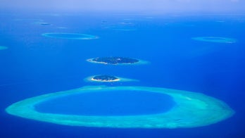 Scientists on a sailboat just found nearly 200,000 viruses hiding in Earth's oceans