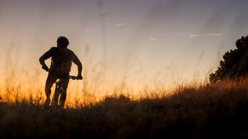 Scottish man is biking around the globe with stray cat by his side
