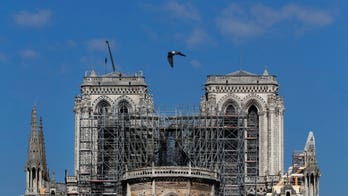 French Yellow Vest members vow more protests, claim Macron exploiting Notre Dame fire