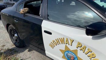 Sea lion 'in distress' rescued in California, receives police escort in cute photos