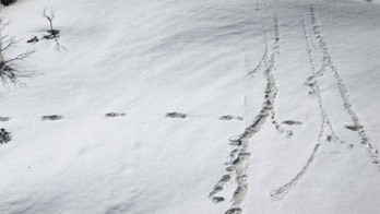 Footprints in snow lead Minnesota authorities to burglary suspect: report