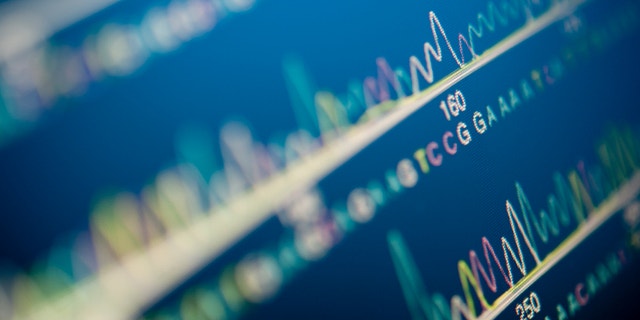 DNA tests have linked a Bay Area women to nearly 30 siblings.