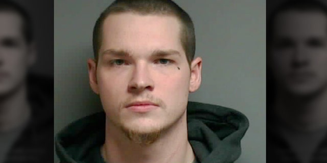 Alexander Gerth, 23, was sentenced to three to six years in prison on Tuesday for brutally stabbing a dog and leaving it to die in a Michigan park in January.