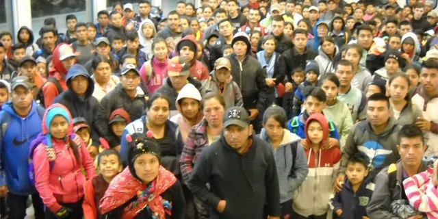 This is the group of 230 undocumented immigrants apprehended today in Antelope Wells. (US Border Patrol)