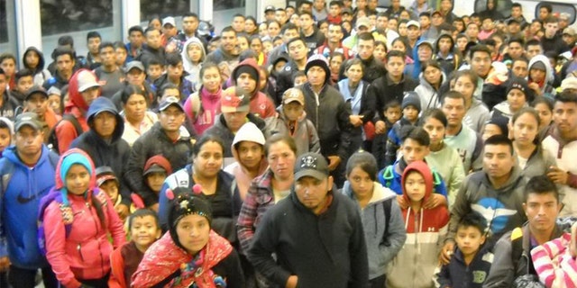 This is the group of 230 undocumented immigrants apprehended today in Antelope Wells. (US Border Patrol)