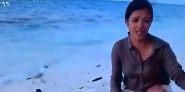 Presenter Liz Bonnin of BBC’s “Blue Planet Live,” was concluding the program when a seagull appeared to eat a baby turtle during a live broadcast.
