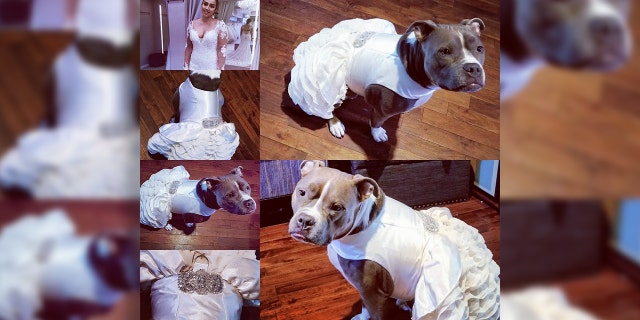 Bailey is looking wedding ready in her chic outfit.