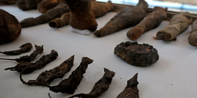 Mummified mice and falcons on display at the newly discovered burial site, the Tomb of Tutu, at al-Dayabat, Sohag, Egypt April 5, 2019. REUTERS/Mohamed Abd El Ghany
