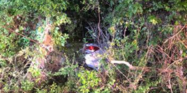 Chris Miracle, 26, saw flashing lights early Wednesday morning when he was driving his tow truck. When he stopped and investigated the volunteer firefighter found a 77-year-old woman trapped in her vehicle going into a creek.