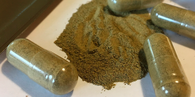 A government report released Thursday said kratom was a cause in 91 overdose deaths in 27 states. Officials previously said they knew of 44 nationally.