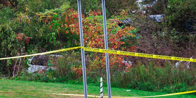 FILE - In this Saturday, Oct. 6, 2018 file photo, a limousine, left, has landed in the woods following a fatal crash in Schoharie, N.Y. The operator of a limousine company pleaded not guilty Wednesday, April 10, 2019, to 20 counts each of criminally negligent homicide and second-degree manslaughter in a crash that killed 20 people in rural upstate New York. Nauman Hussain was arraigned Wednesday in Schoharie County Court. (Tom Heffernan Sr. via AP, File)