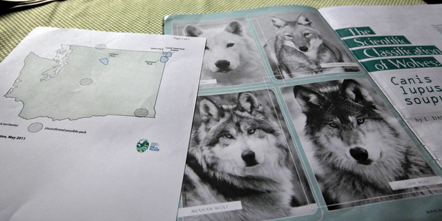 FILE - This June 18, 2011 file photo shows a map of confirmed and possible wolf packs in Washington state next to a magazine about wolves on the kitchen table of Ray Robertson, who is both both a volunteer for Conservation Northwest and a contractor for the U.S. Forest Service, near Twisp, Wash. On Thursday, April 4, 2019, the Washington Department of Fish and Wildlife said the number of gray wolves in Washington state continued to grow in 2018, and the state for the first time has documented a pack living west of the Cascade Range. (AP Photo/Elaine Thompson, File)