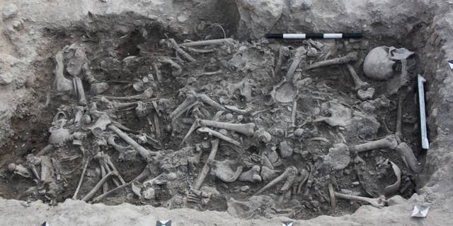 The Crusader bones found in the 13th-century burial pit.