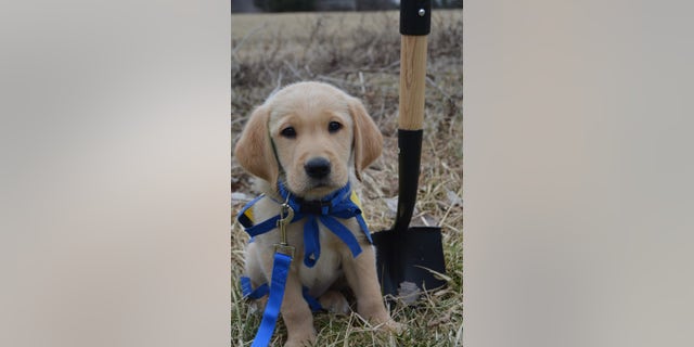 A new CCI facility in New Albany, Ohio, will include dorms where the graduates can stay while they learn how to work with their new service dogs.