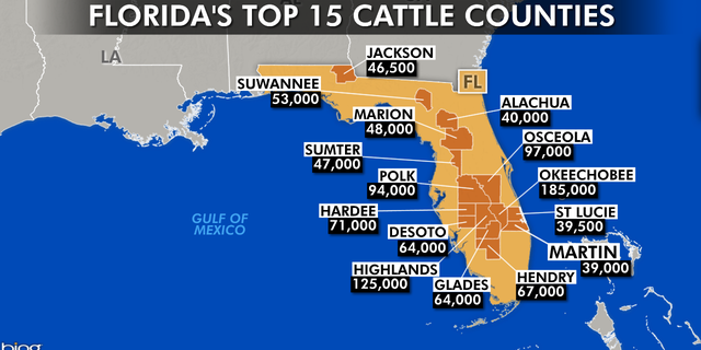 Florida's top 15 cattle counties include Okeechobee, Highlands and Polk county