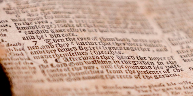 The word "breeches" is visible as the last word in verse 7 of chapter 3 in Genesis in the theft recovered Bible shown during a news conference, Thursday, April 25, 2019, in Pittsburgh. The word gives the 1615 Breeches Edition Bible that stolen from the Carnegie Library in Pittsburgh in the 1990's its name. The stolen Bible was traced to the American Pilgrim Museum in Leiden, Netherlands. (AP Photo/Keith Srakocic)