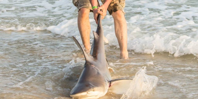 Local photography agency Sun Shots captured the rescue and posted about it on Facebook.