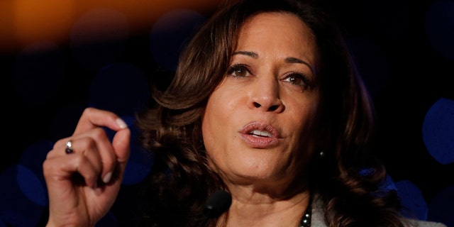 Kamala Harris Pledges Executive Order On Gun Control If Congress Doesnt Act In Her First 100