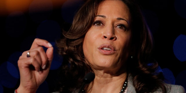 Democratic presidential Candidate Sen. Kamala Harris, D-Calif., speaks at the Alpha Kappa Alpha Sorority South Central Regional Conference in New Orleans. (AP Photo/Gerald Herbert)