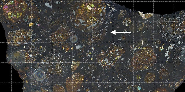 The arrow in this view of the LaPaz meteorite points to where the scientists found the carbon-rich cometary fragment. The colors are produced by polarized light shining through a thin slice of the meteorite; the grid lines are spaced one millimeter apart. (Credit: Carles Moyano-Cambero/Institute of Space Sciences, Barcelona)
