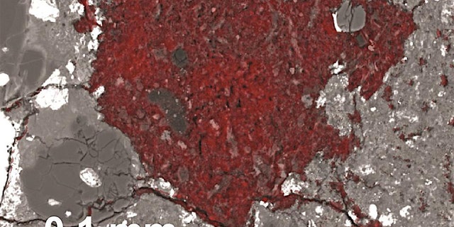 The carbon-rich fragment the material comets are built from is colored red in this scanning electron microscope image. The scale bar shows its size. (Credit: Larry Nittler/Carnegie Institution for Science)