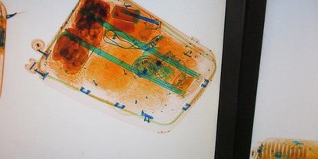An X-ray image of the suspect's luggage shows 19 lizards tightly packed into mesh packages.