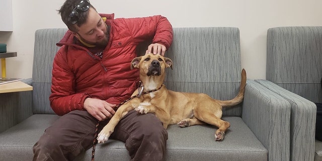 Matthew Glatz plans to help find ideal adoptees for the special pup, with assistance from a non-kennel adoption agency in Maine.