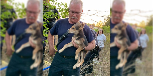 Capt. Paul Bryant adopted the puppy he'd rescued the week before.
