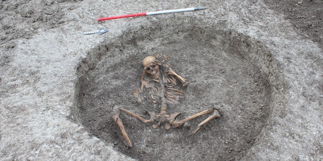 A female skeleton was found with the feet cut off and placed by her side with arms bound behind her head. (Thames Water)
