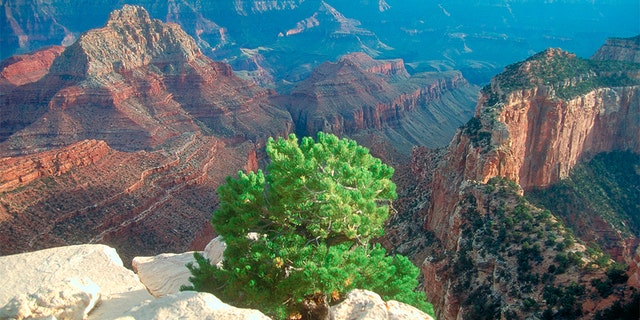 Authorities say another visitor has died after falling from the edge of the Grand Canyon. (MyLoupe/UIG via Getty Images)