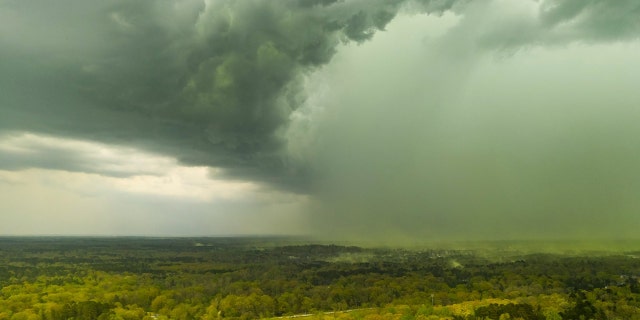 Pollen levels returned to "very high" after the storms, and are expected to stay that way through the weekend.