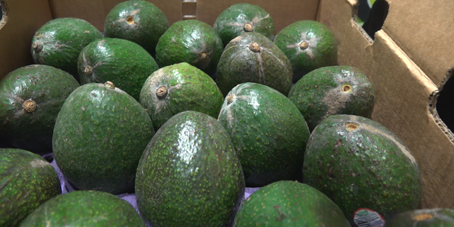 “It's going to be felt at the grocery stores when we start paying more for limes and our avocados at the grocery store,” Contreras said.