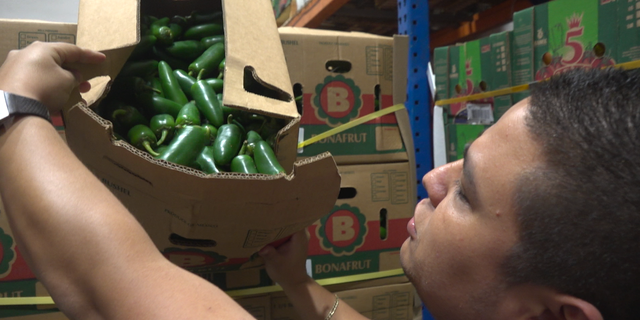 Amore Produce, the McAllen produce distributor, located just 20 minutes from the border, has less produce than usual.